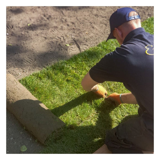 Eco Turf Medallion Premium being rolled out by a man