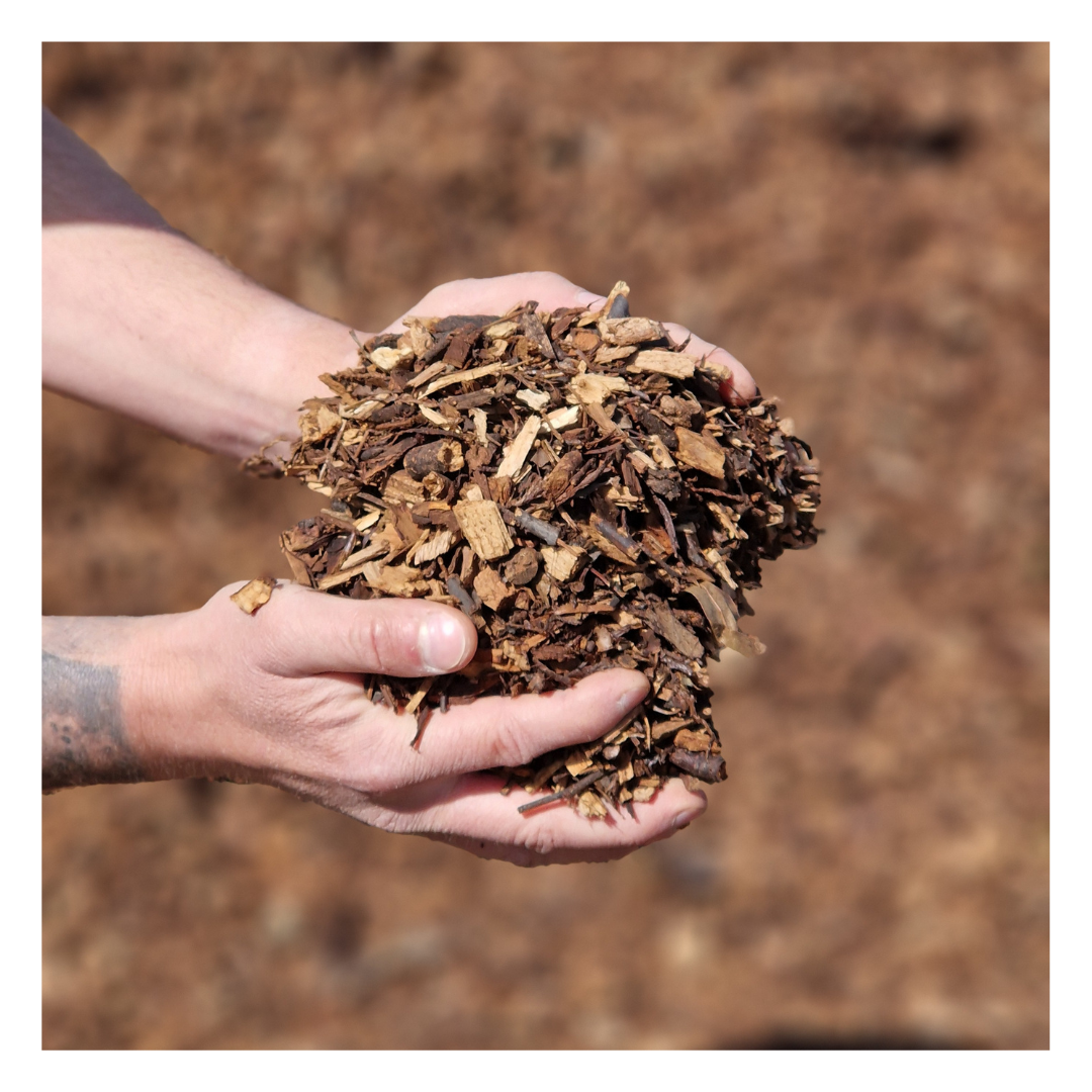 Eco Paths: Woodland Mulch