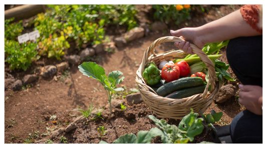 Image of vegetables in a basket