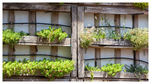 a vertical garden using recycled wooden pallets