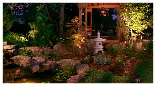 Image of garden illuminated at night