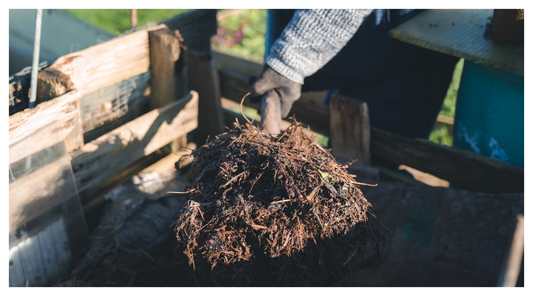 Image of a shovel in nutrient mulch