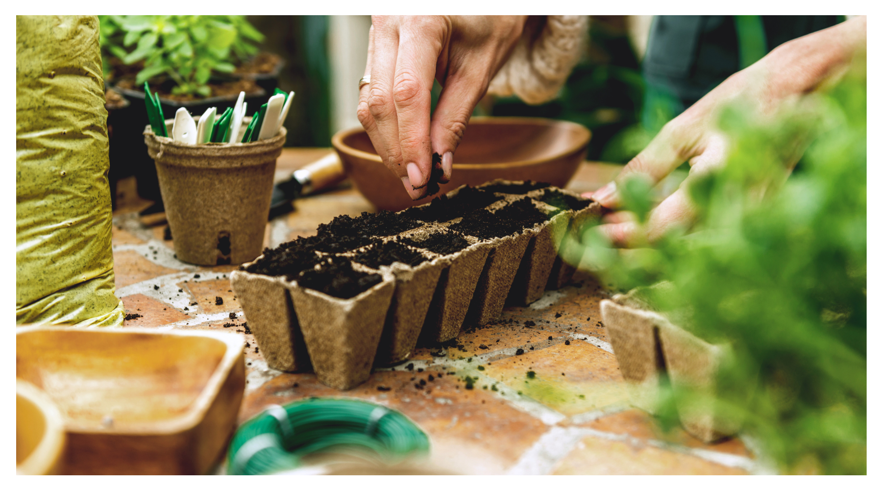 April Garden Checklist: What to Plant, Prune & Prep This Month – Eco ...