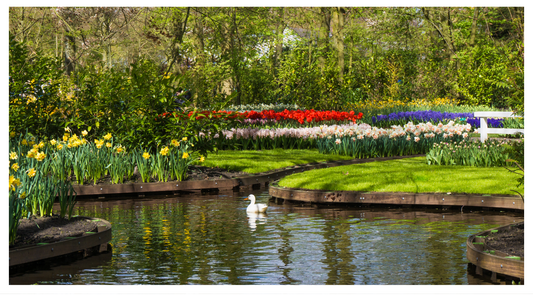 image of a pond with lawn and flower beds in Spring