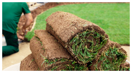 image of rolls of turf ready to be laid in garden