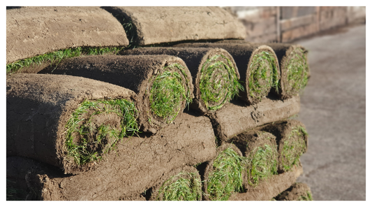 This image shows rolls of Eco Turf, stacked in a pallet