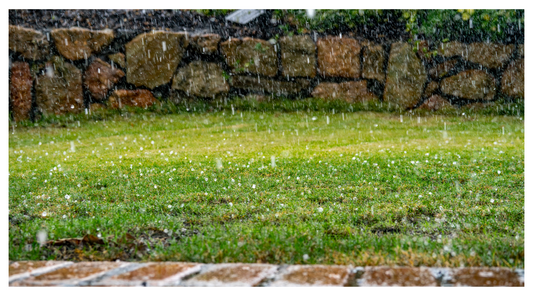 How to Maintain Your Lawn in Winter