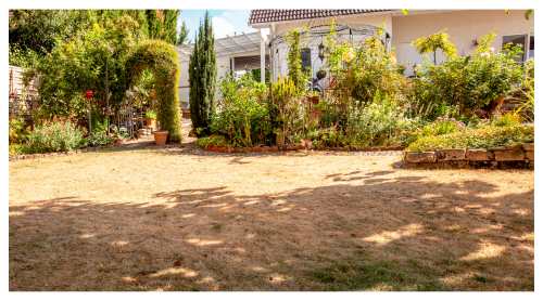 How to Protect Your Garden During a Heatwave in the UK