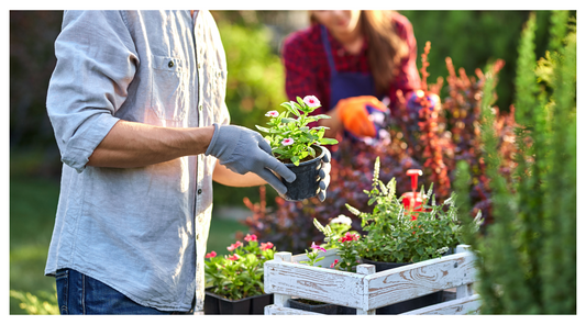 July Gardening Checklist: What to Plant, Prune, and Harvest This Month
