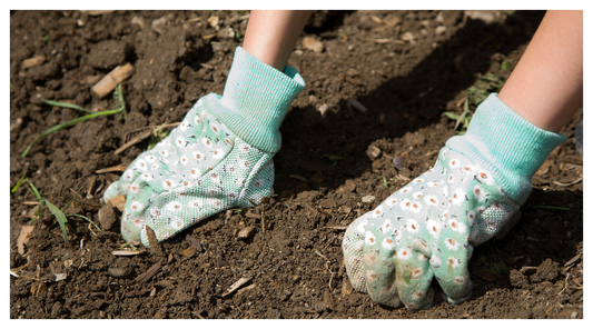 image of gloved hands picking up soil