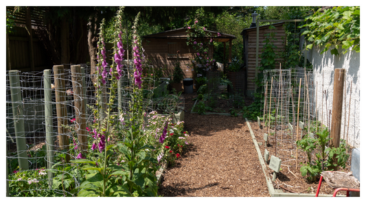 Garden pathways mulched with recycled woodchip