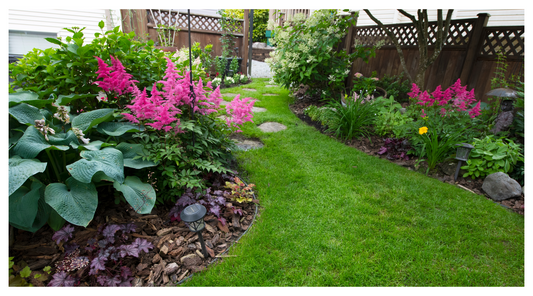 Shade-Loving Perennials for Fence Lines