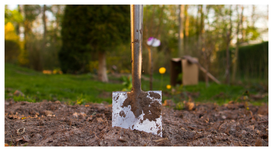 a shovel in organic topsoil