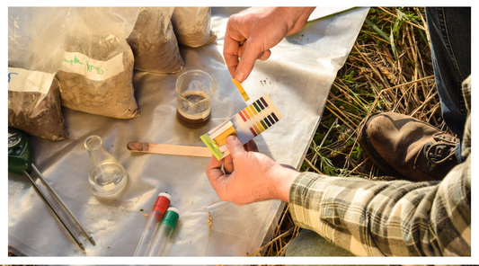 Soil pH testing kit