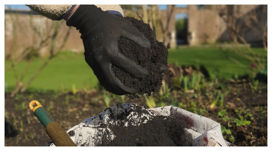 handful of organic compost for beds and borders