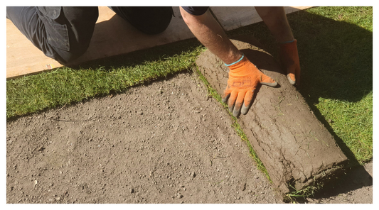 Image of gardener laying a roll of turf