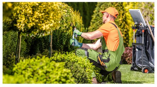 Image showing gardener trimming trees and shrubs