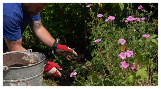 Mulching flower beds with Eco Mix Compost