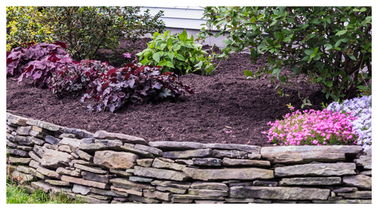 mulched beds and borders