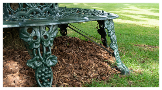 an image of a mulched tree border and bench