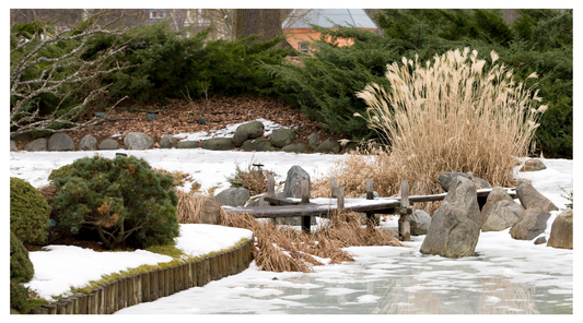 Why Mulching in Winter is Crucial for Garden Soil Health and Plant Growth