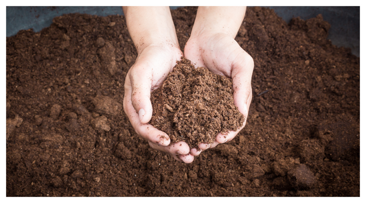 image of hands holding peat-free compost 