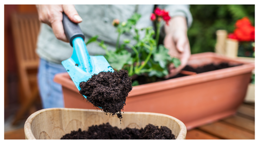 Why You Should Use Soil Improving Mulch In Your Garden This November