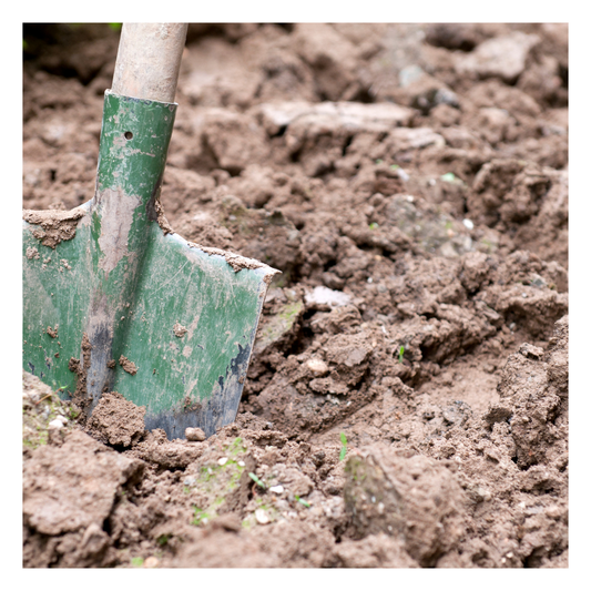  An image of as dug top soil with a shovel in the foreground, highlighting its natural composition for use as a base layer in landscaping and construction.