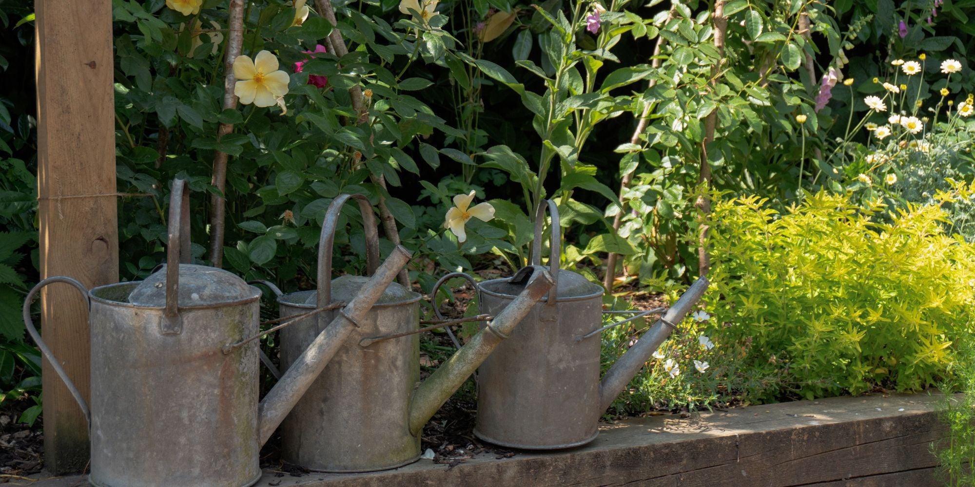 three watering cans sat atop a wooden border