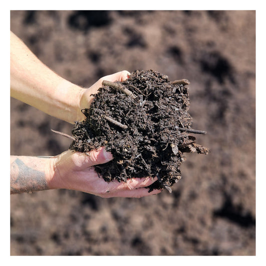 Eco Mulch: Soil Improving Mulch