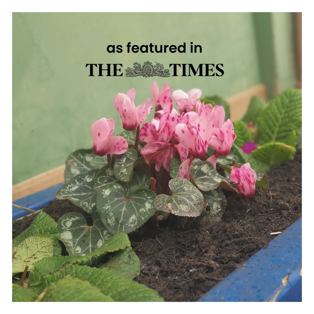 Eco Organic Beds & Borders Compost with a flower featured in The Times