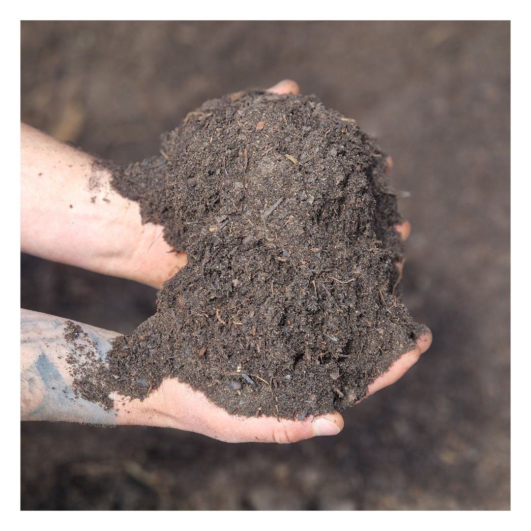 Eco Organic Compost: Lawn Dressing