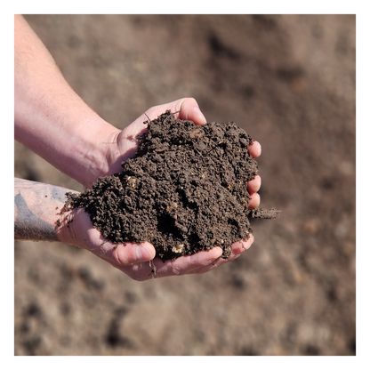 Eco Organic Topsoil: Beds & Borders