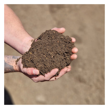 Eco Turf & Lawn Seeding Soil
