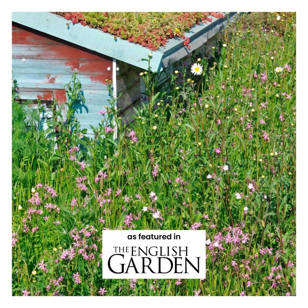 Eco Wildflower Turf featured in The English Garden
