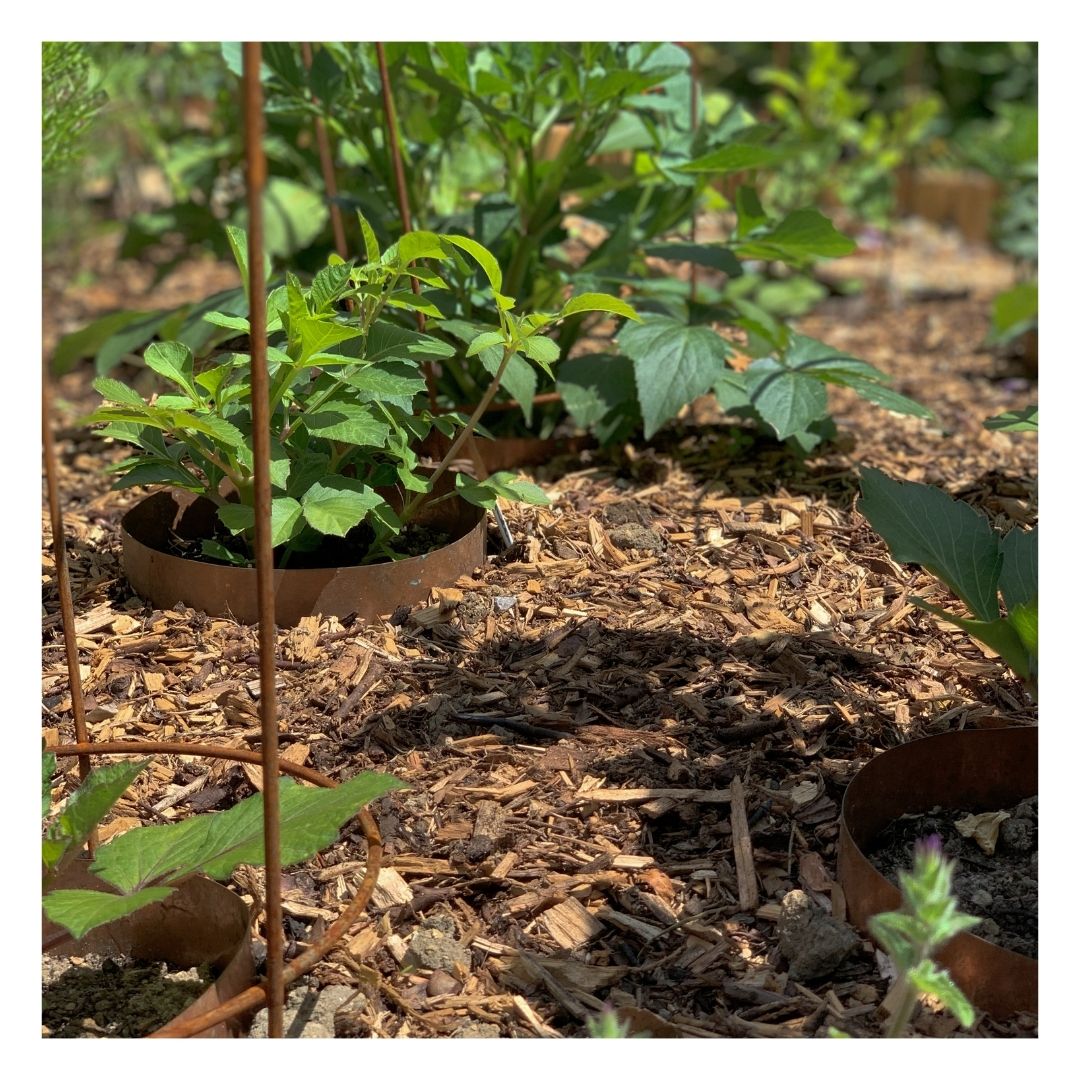 Eco organic mulch with potted plants