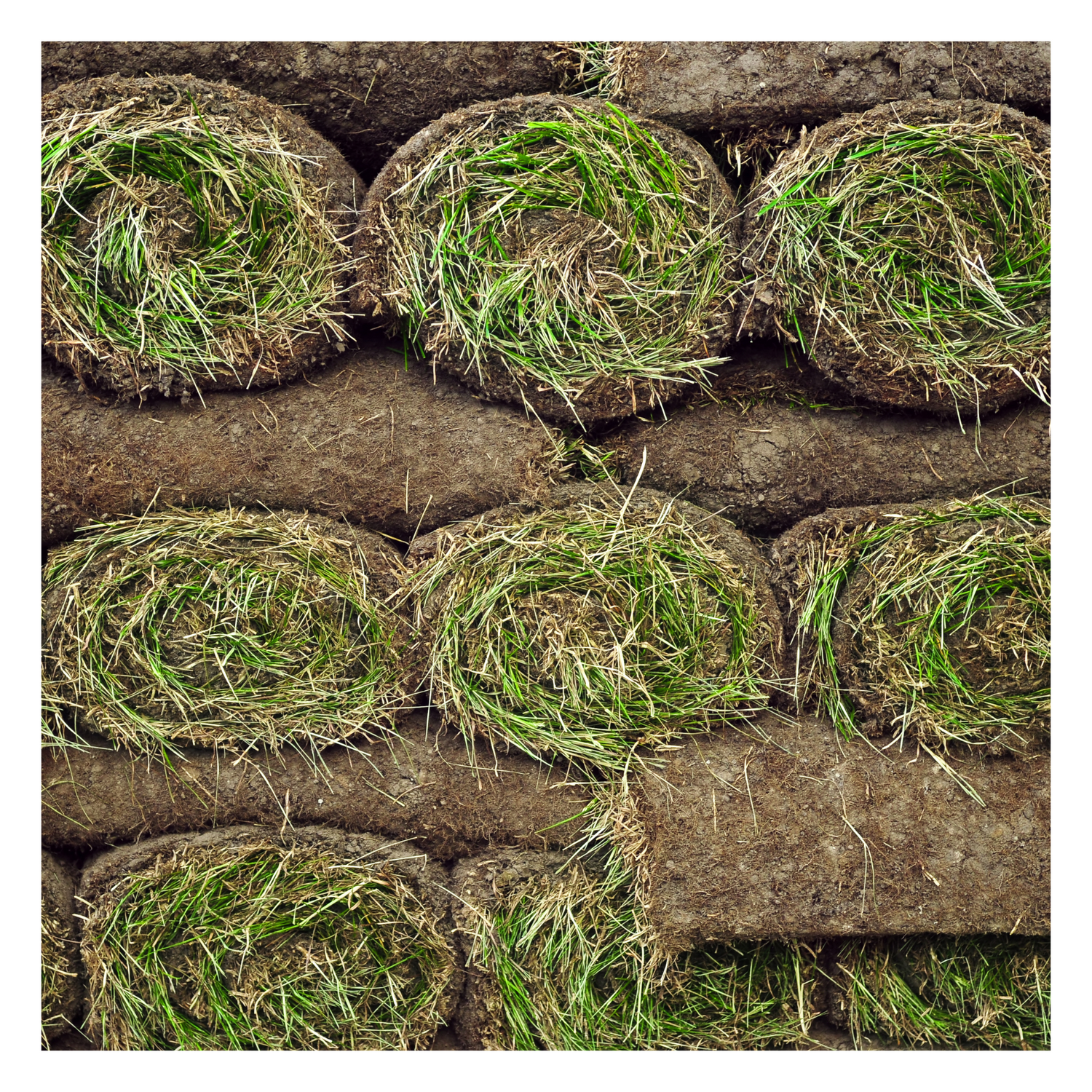 Stacked turf rolls