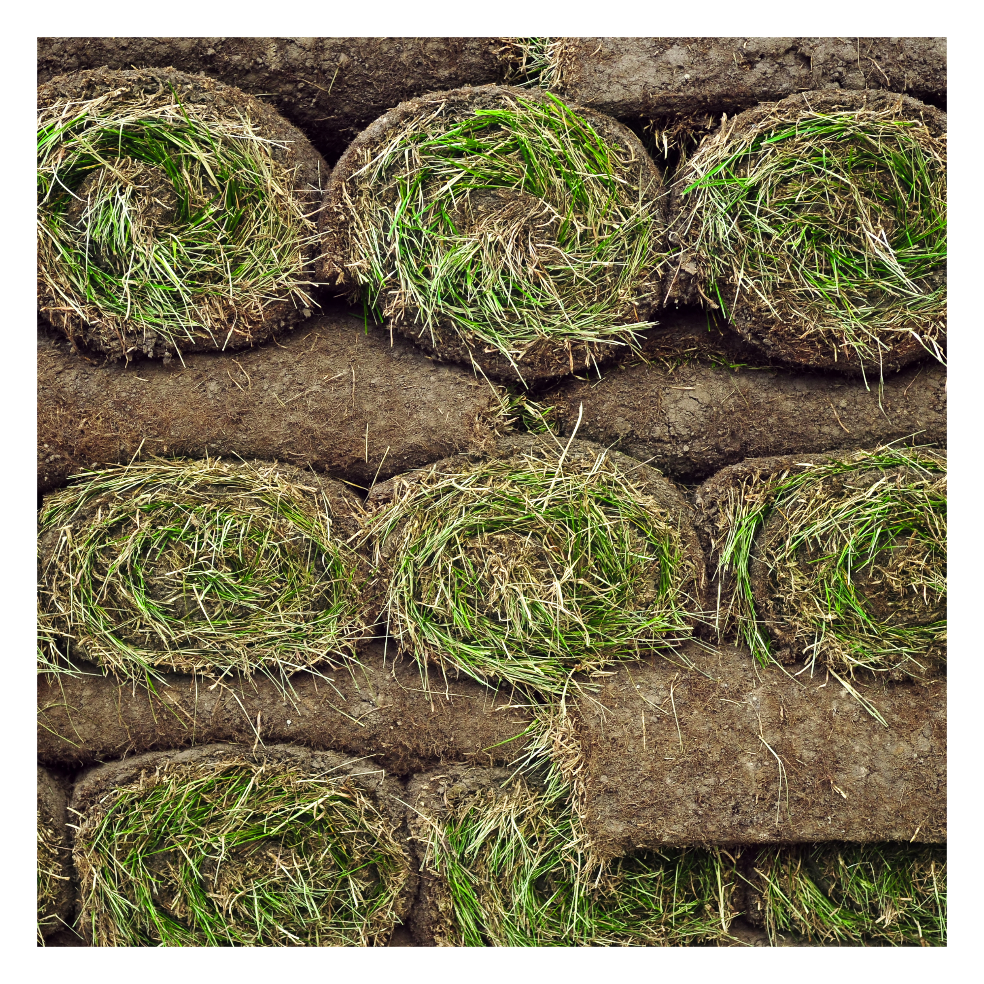 Stacked turf rolls