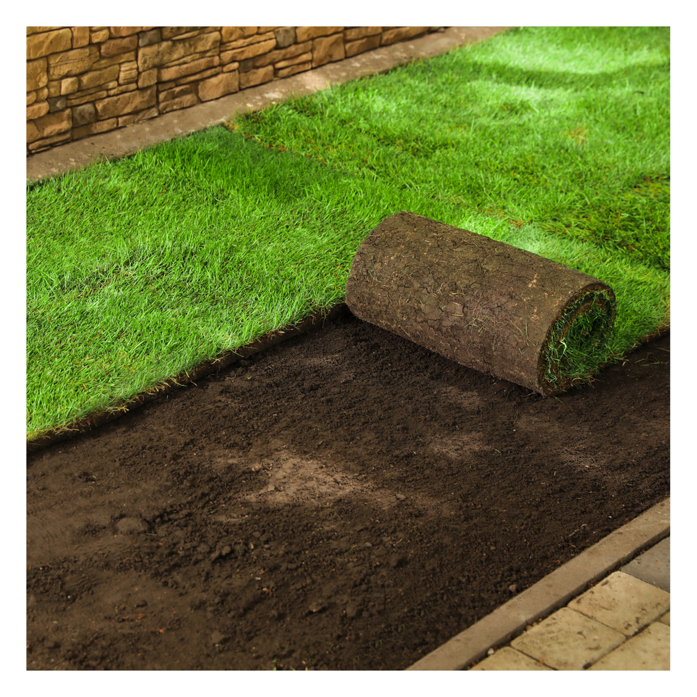 Choosing Your Turf – Eco Landscaping
